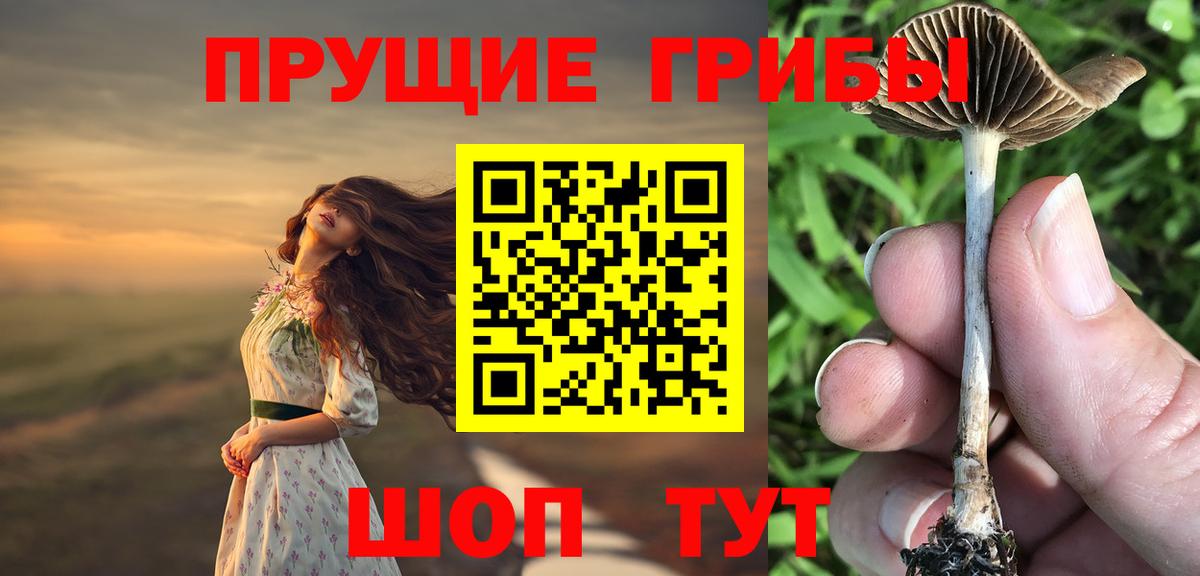 Псилоцибиновые грибы мицелий Избербаш